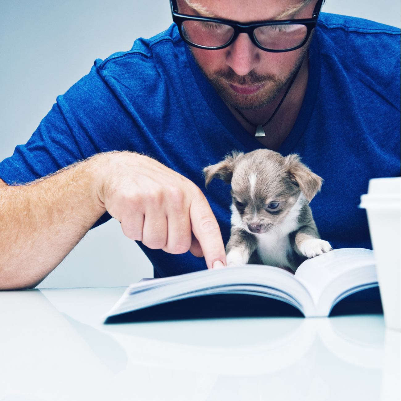 At Home Puppy Training: Best Tricks and Ways to DIY