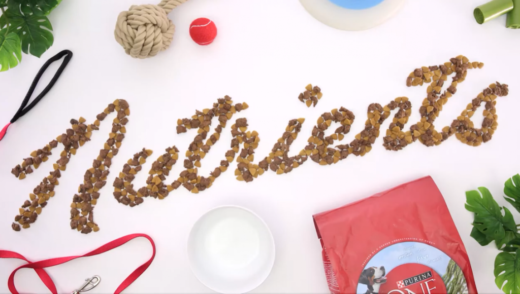 word nutrients written with dry dog food on a white background with purina one bag and dog accessories 