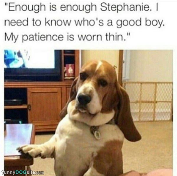 Enough Is Enough Stephanie