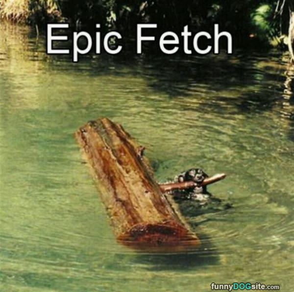 Epic Fetch