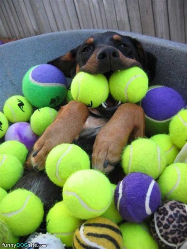 Got All The Tennis Balls