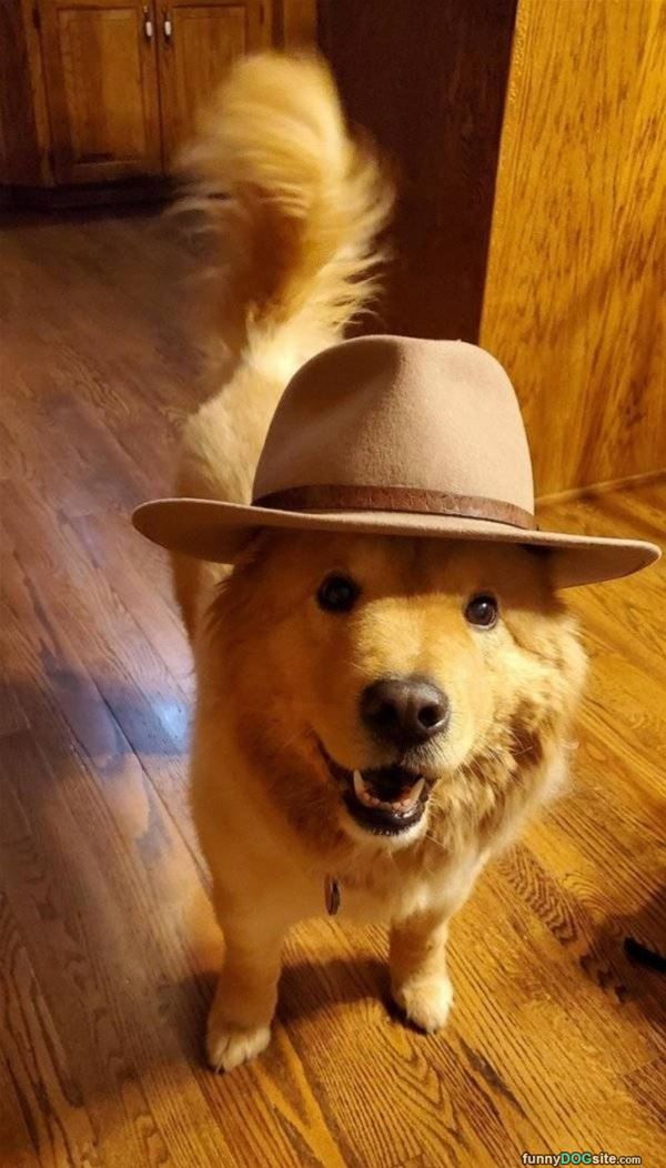 Got My Hat
