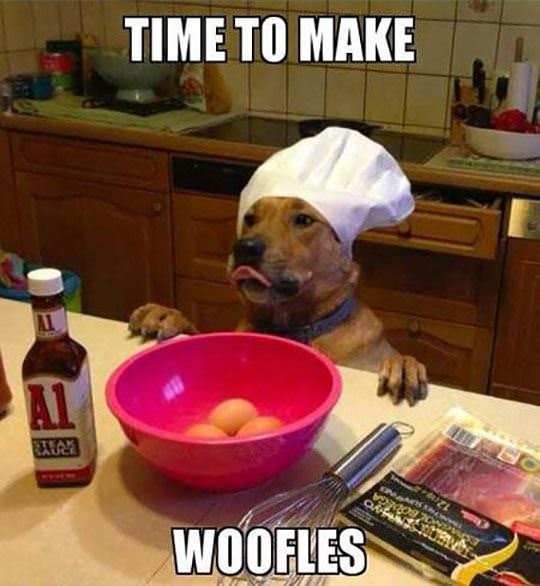Making Woofles