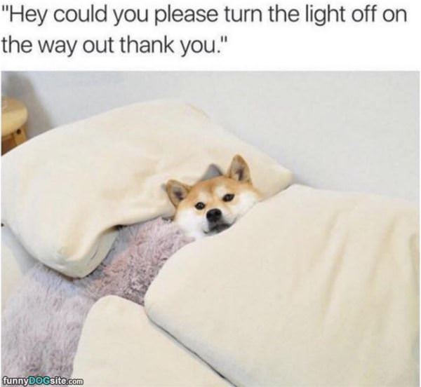 Please Turn The Light Off