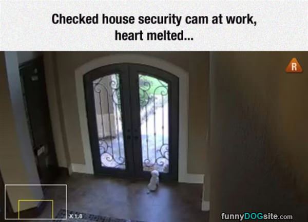 Security-cam