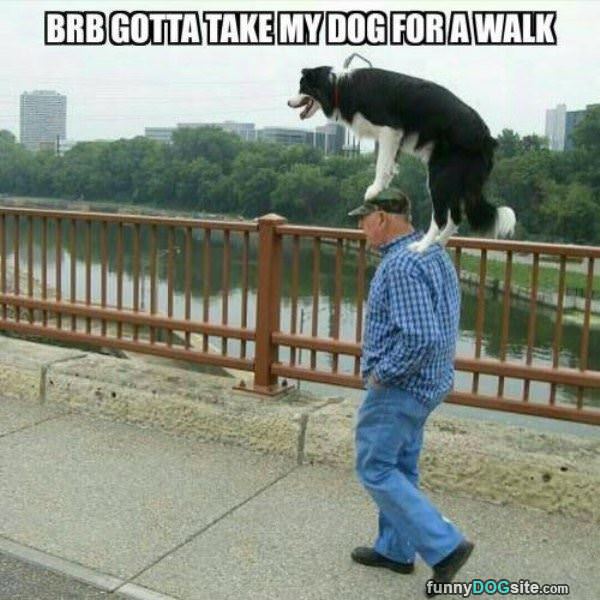 Take My Dog For A Walk