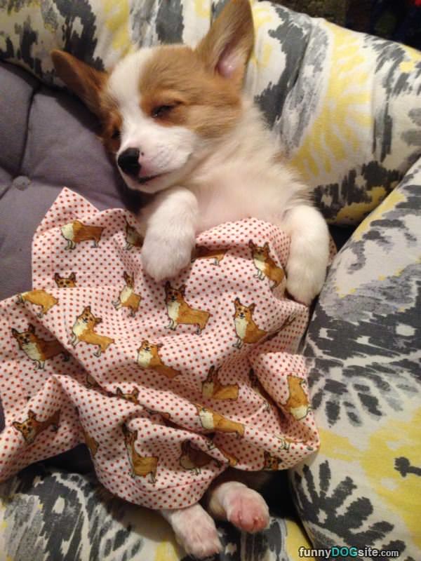 Tucked In For Sweet Dreams