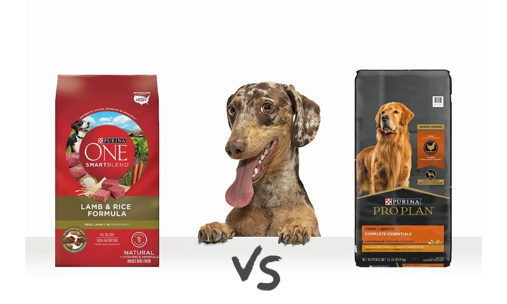 Purina One vs Purina Pro Plan: Which One is Better For Your Dog?