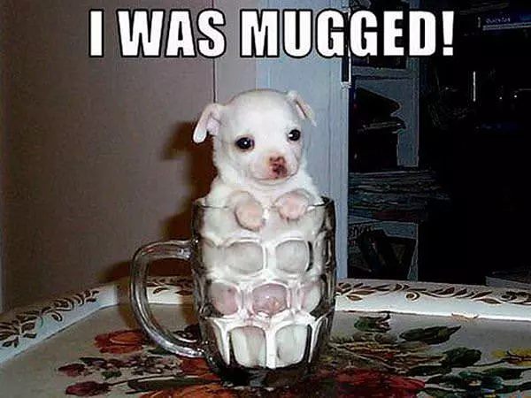 Mugged