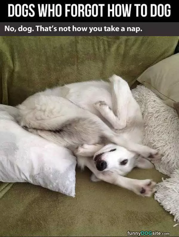 Not How You Nap