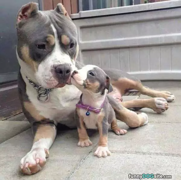 Mommy A Kiss Please