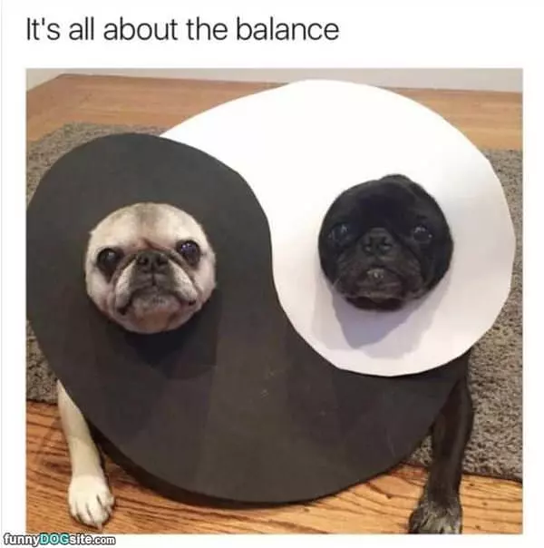 All About Balance