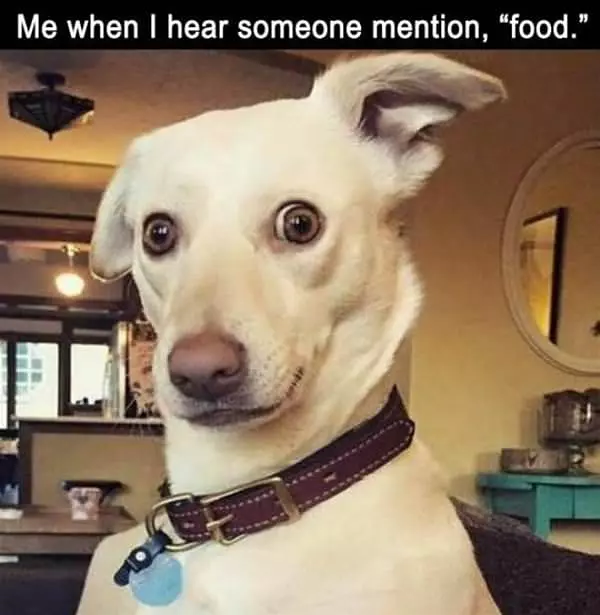 Someone Mentioned Food