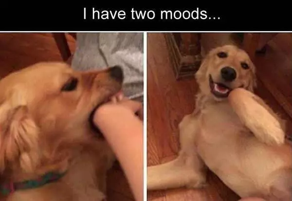I Have Two Moods