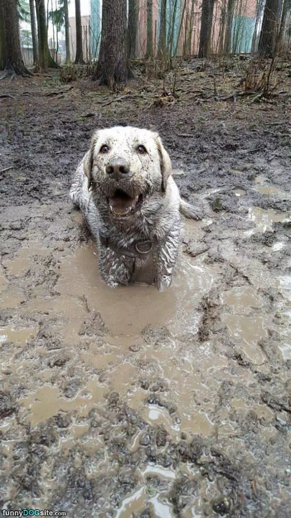 Playing In The Mud