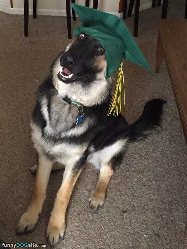 Graduate