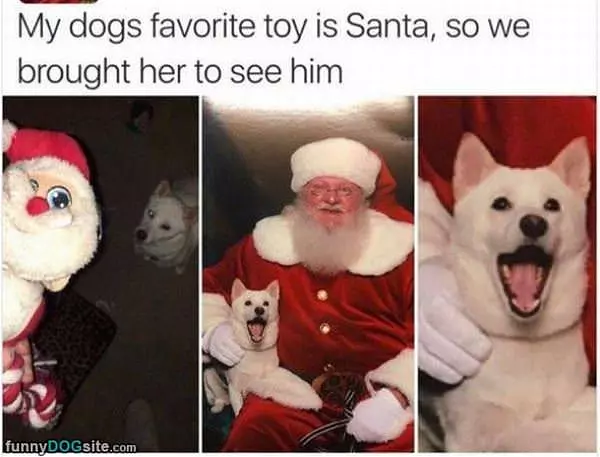 I Just Love Santa