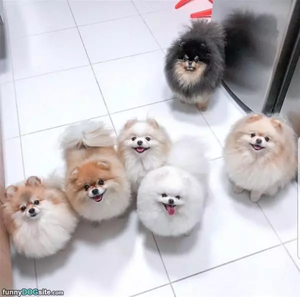 All Of Us Want Snacks