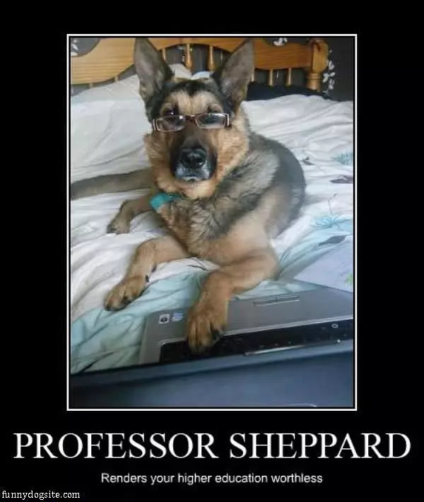 Professor Sheppard