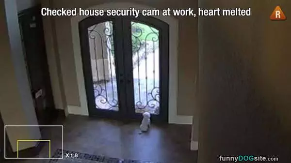 Checked The Security Cam