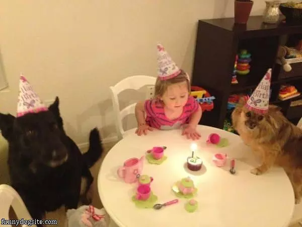 Cutest Birthday Party Ever