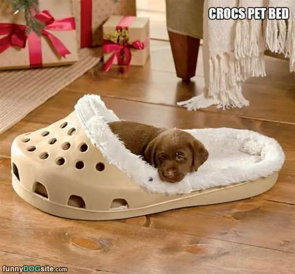 Crocks Pet Bed