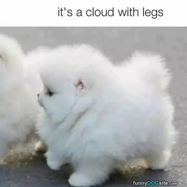 A Cloud With Legs