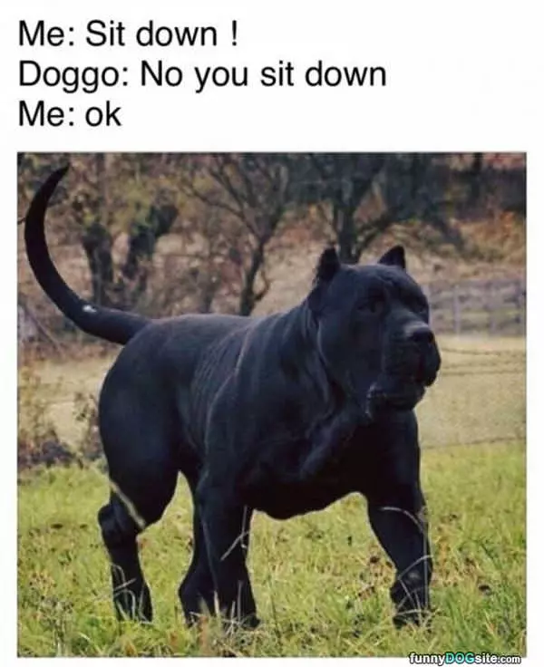 No You Sit Down