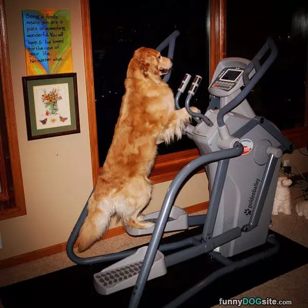 Just Working Out