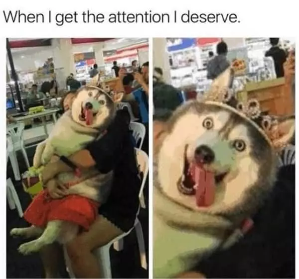 The Attention I Deserve