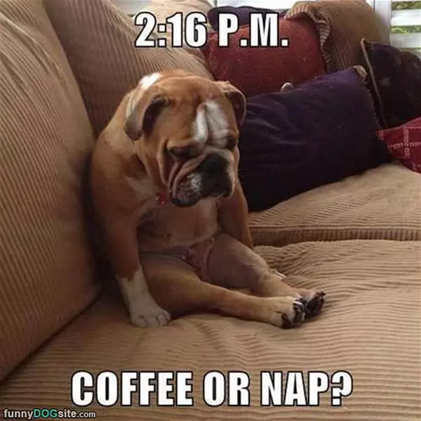 Hmm Coffee Nor Nap