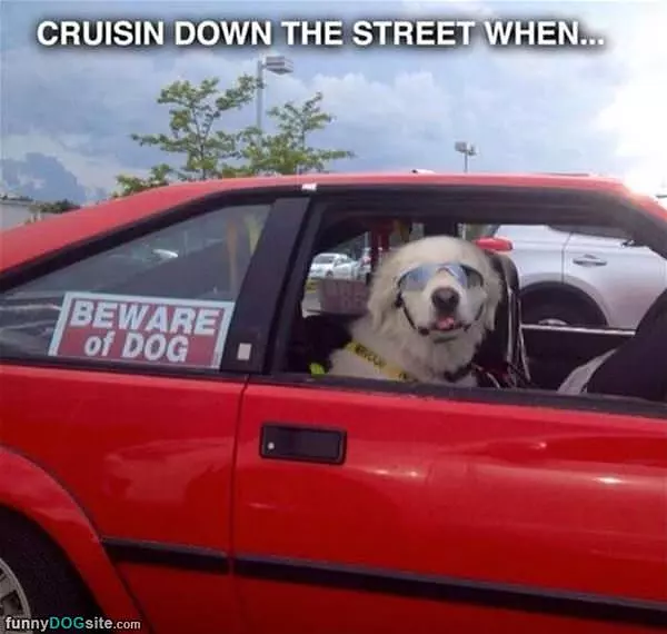 Cruisin Down The Street