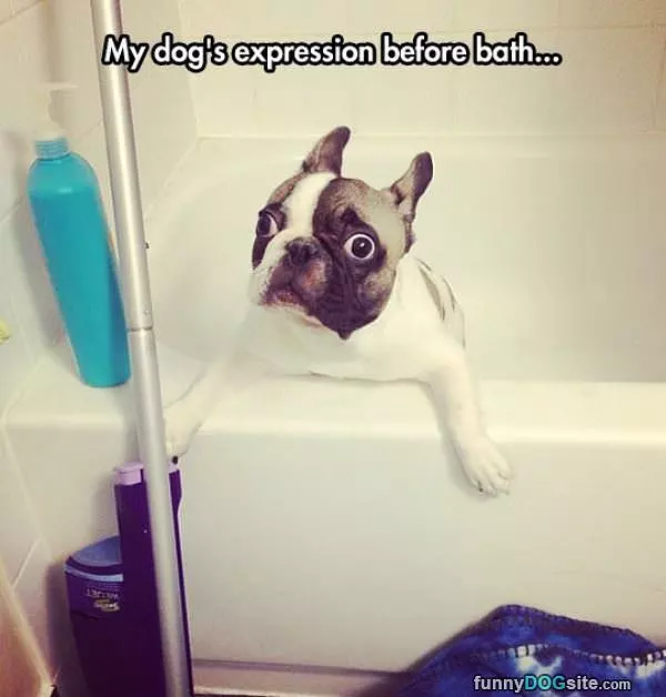 Not Sure If I Want A Bath
