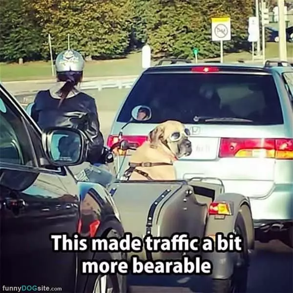 Helping With Traffic