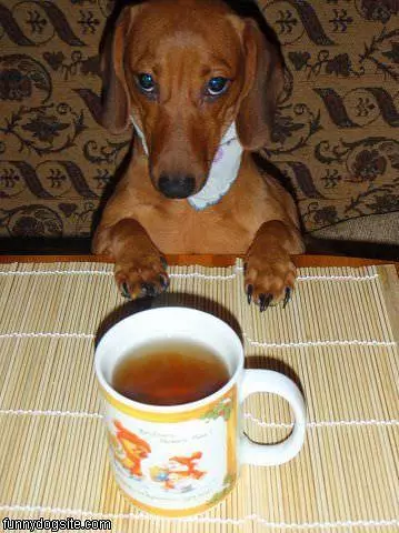 More Tea Please