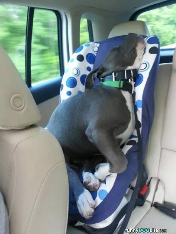 Asleep In The Back