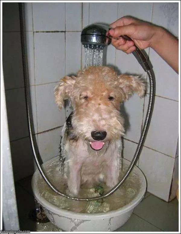 Taking A Little Bath