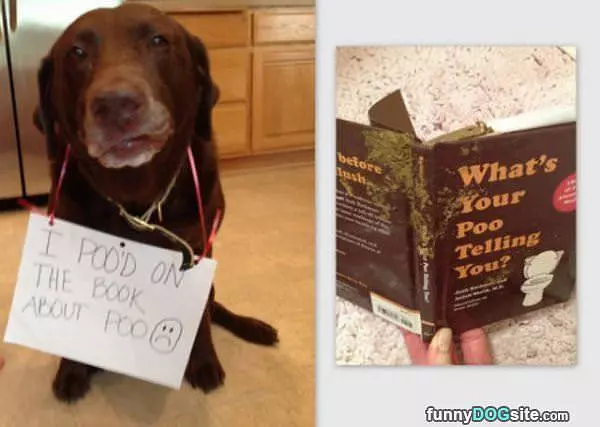 The About Poo Book