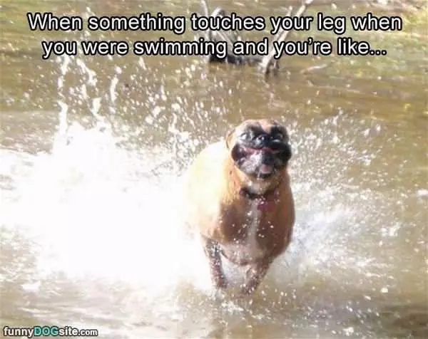 Touches Your Leg While Swimming