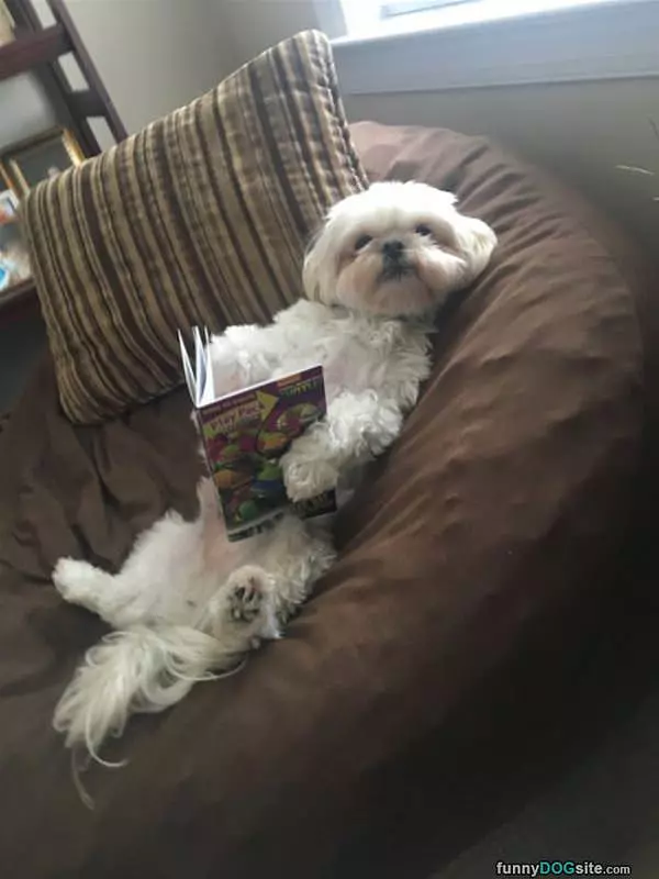 Just Reading A Little Book