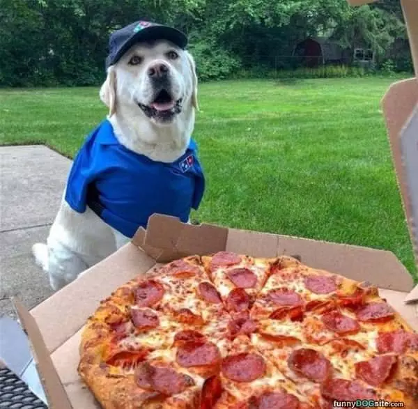 I Deliver Pizzas