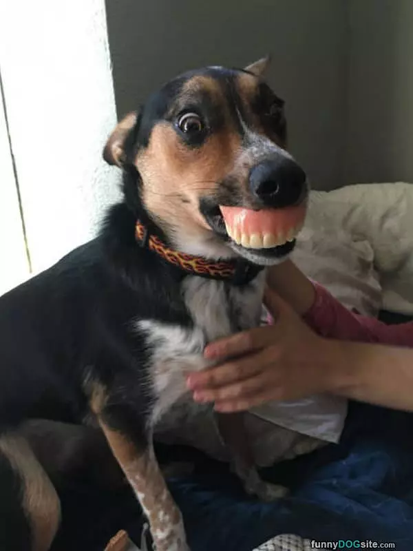 Showing Those Teeth