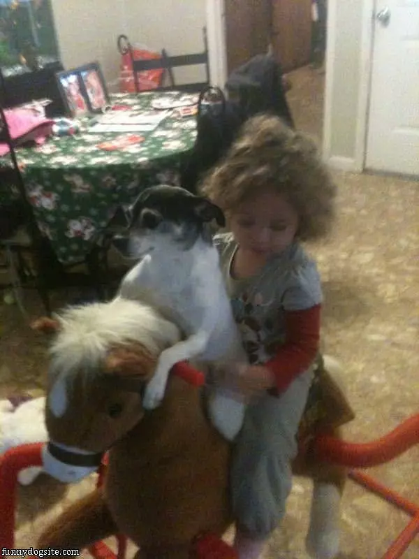 Riding The Horsey