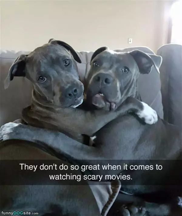 Watching Scary Movies