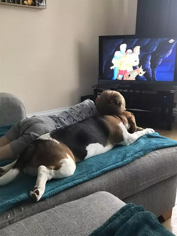 Watching Scooby Doo
