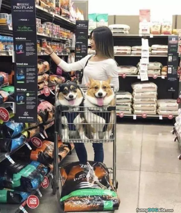 She Takes Us Shopping