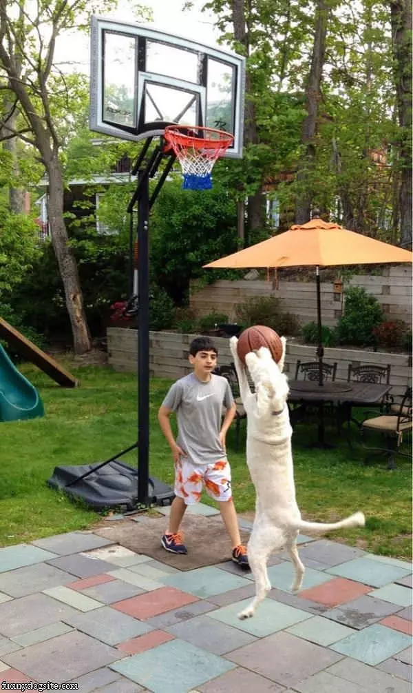 A Game Of Basketball