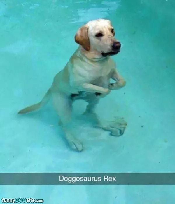 Doggosaurus Rex