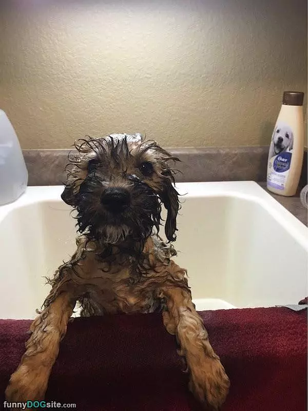 It Was Bath Time Again