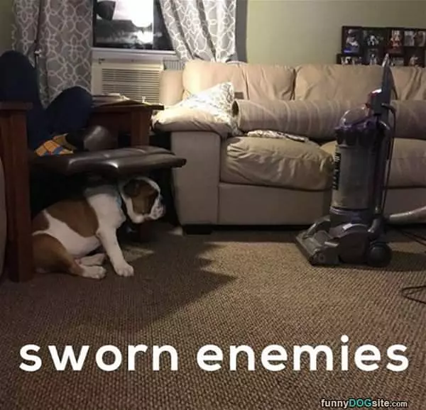 Sworn Enemies
